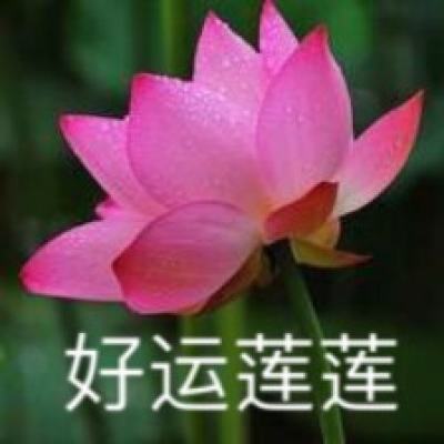 腹有诗书——中国语文常识问答比赛总决赛在香港举办